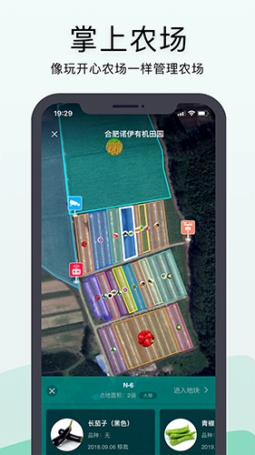 神农口袋截图3