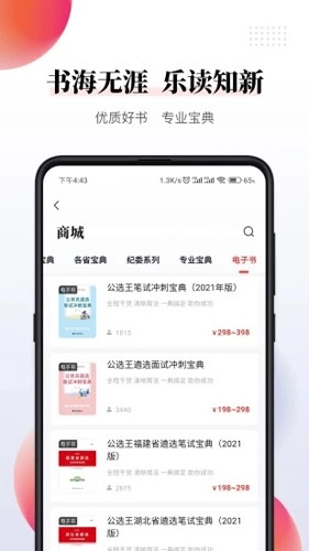 公选王图3
