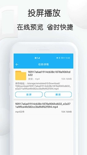 云雀idm网页视频器