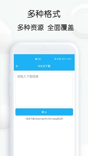 云雀idm网页视频器