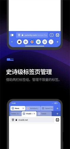 Vivaldi浏览器图4