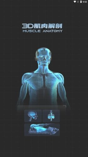 3D肌肉解剖截图1