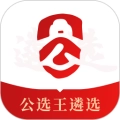 公选王