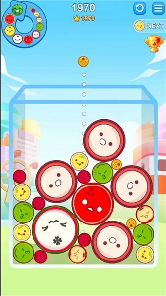 夏日大西瓜图4