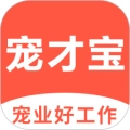 宠才宝