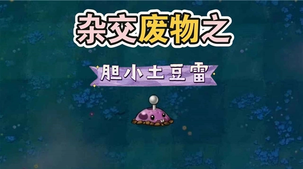 废物大战僵尸安装最新版1