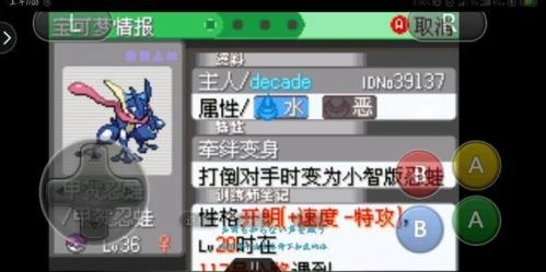 精灵宝可梦究极绿宝石图3