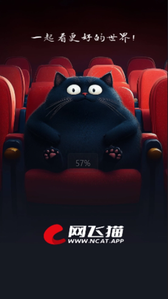 网飞猫(4)