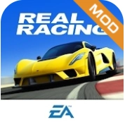 真实赛车版