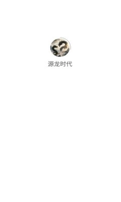 源龙时代图4