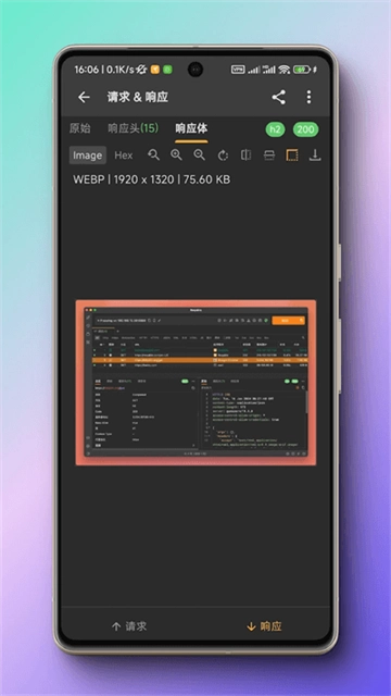 黄鸟抓包蓝色版截图3