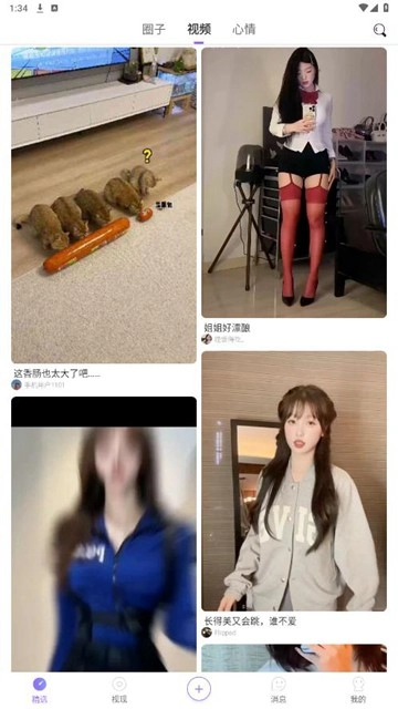 紫夫马
