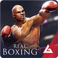 真实拳击安卓版  v2.1