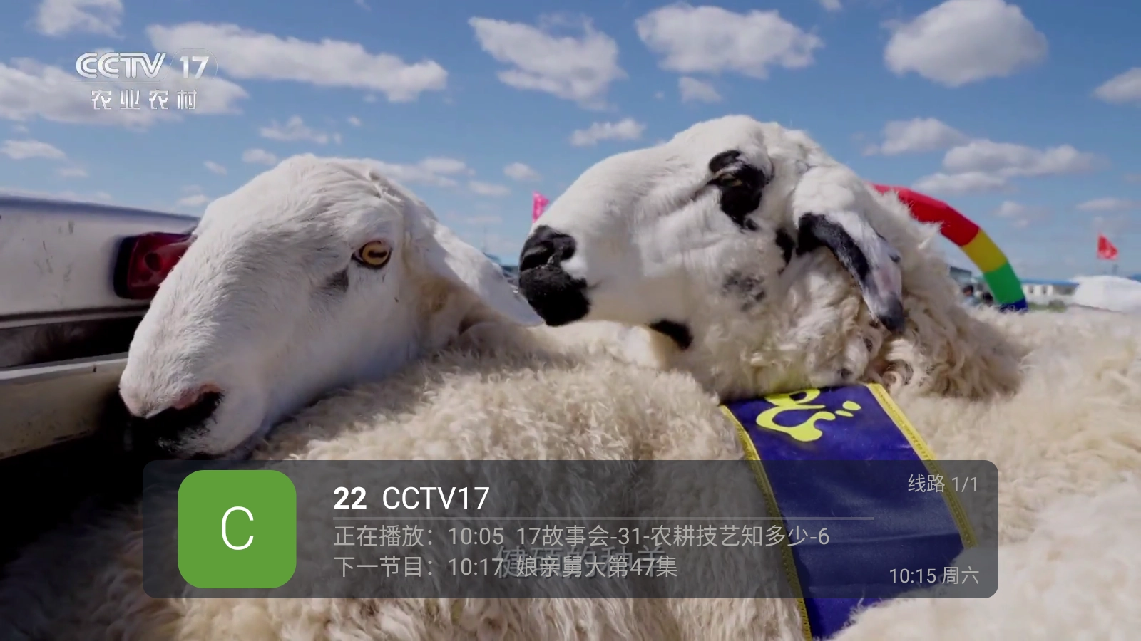 蚂蚁直播tv版(1)