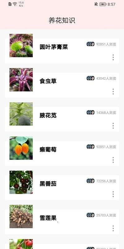 园管家1