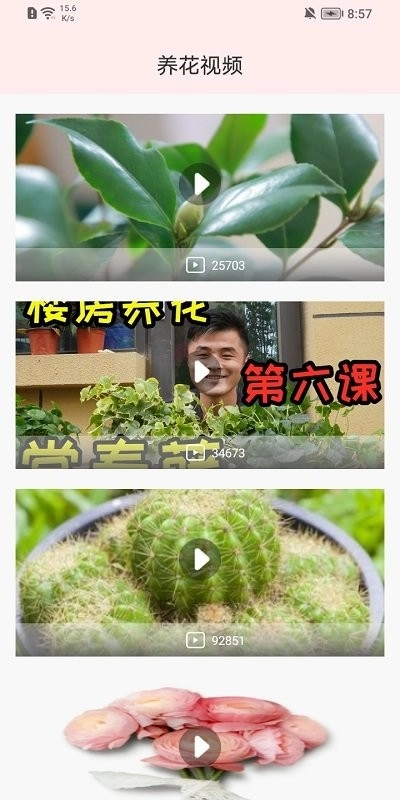 园管家4