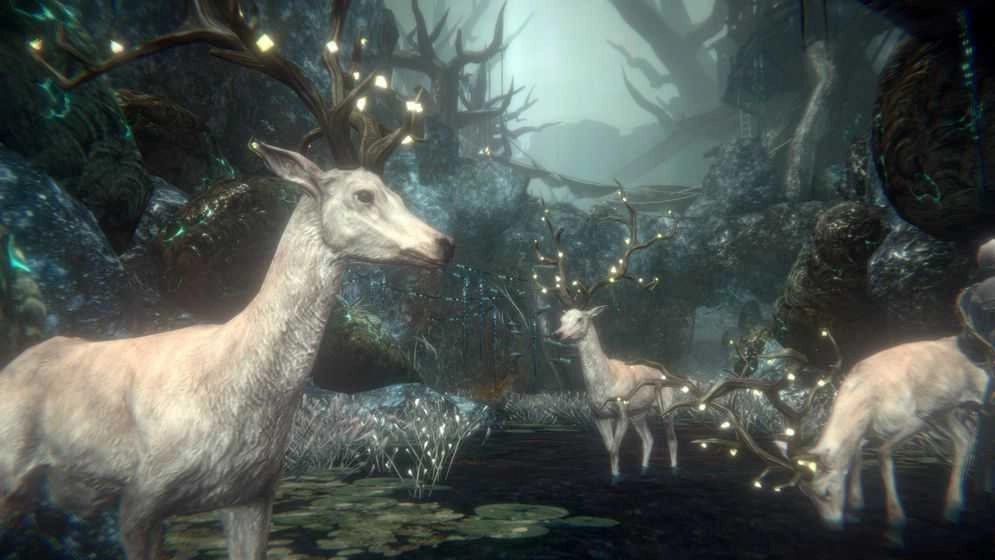 帕斯卡契约免费版图2