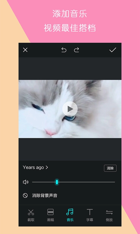 视频制作王图2