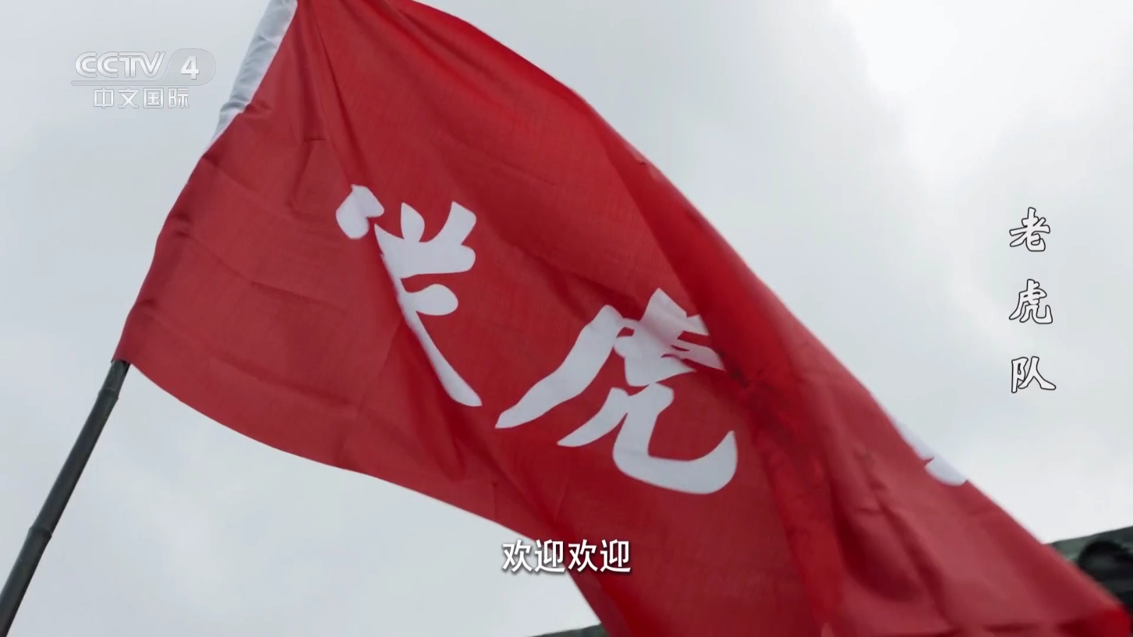 火烈鸟图6