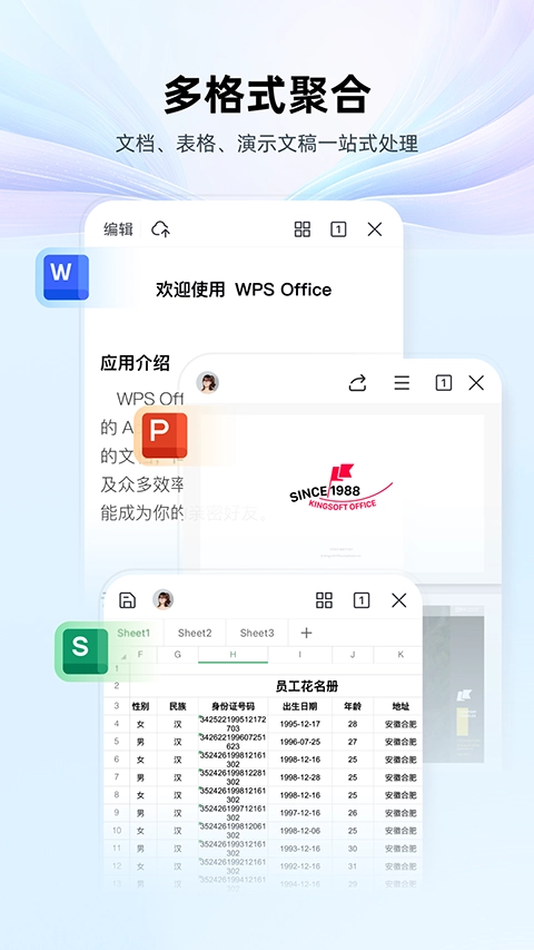 WPS专业版2