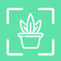 识别植物