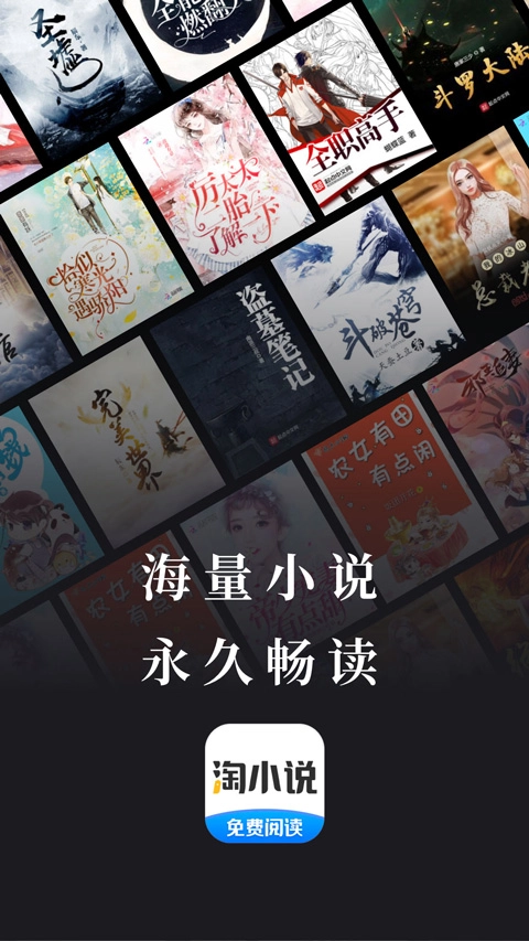 淘小说(1)