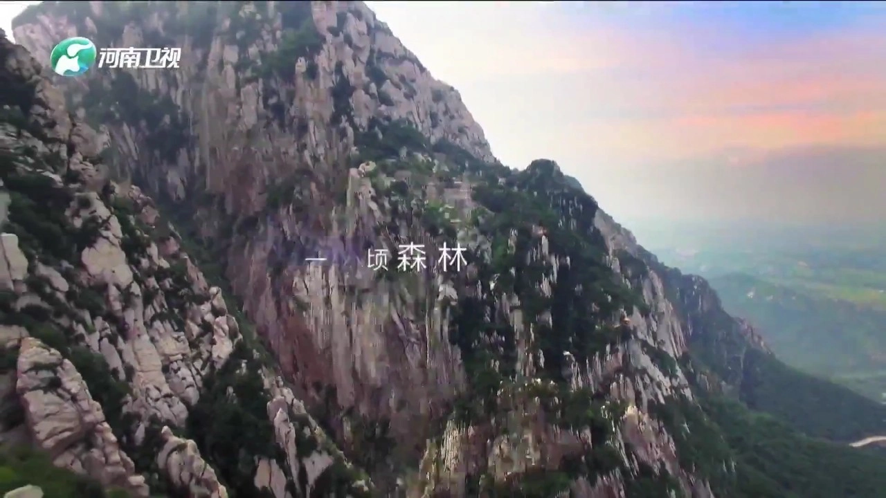 畅享tv免费版