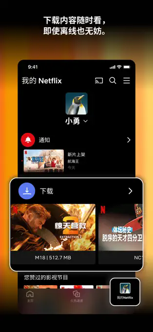 Netflix 3.1 build 3 63549