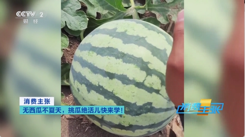 晶奥直播电视tv版1