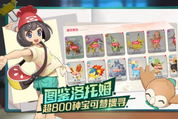 宝可梦伴侣小屋手游直装版图2