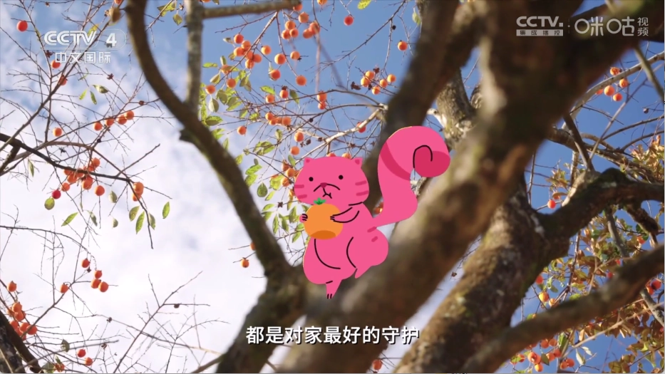 小岭电视官方版下载