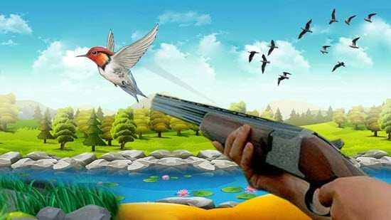 猎鸟大师(Bird Hunting Master) 图3