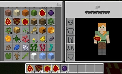 我的世界基岩版(3)