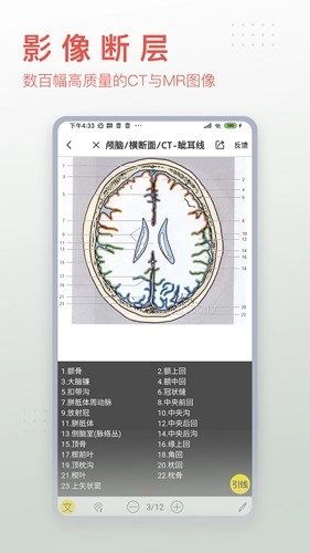 3dbody解剖免费版截图4