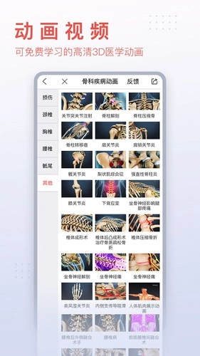 3dbody解剖免费版截图5
