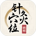 针灸穴位图解安卓版