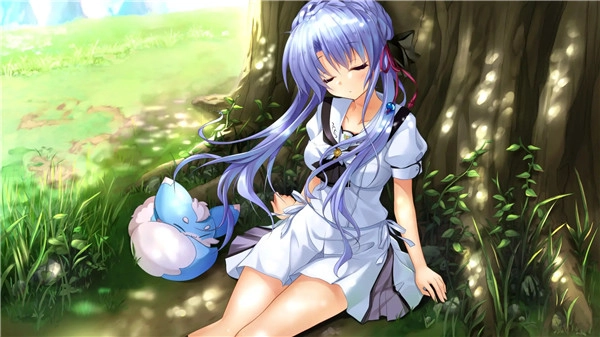 夏日口袋完整版2