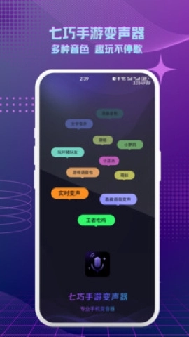 七巧变声器-图1