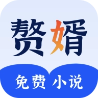 赘婿小说