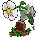 植物大战僵尸重置版 v1.3.7.0