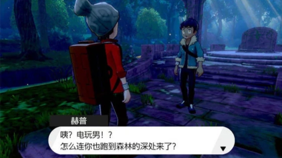 口袋妖怪剑盾(5)