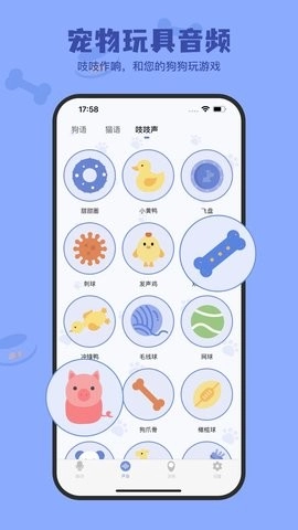 小白交流翻译手机版图3