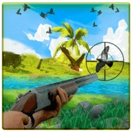 猎鸟大师(Bird Hunting Master) 