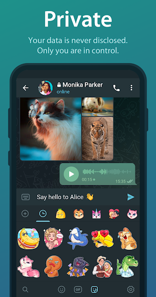 纸飞机telegeram中文版