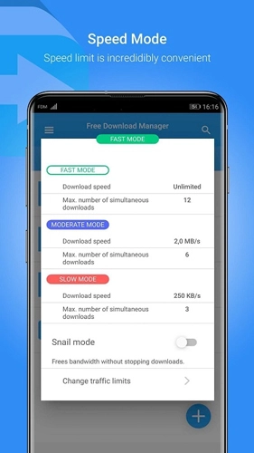 Free Download Manager(4)
