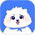 宠智灵官方最新版