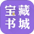 宝藏书城