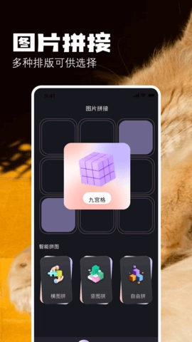 布偶相機截圖0