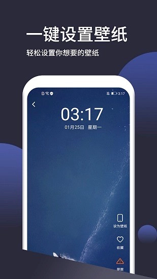 动态手机壁纸大全中文版下载