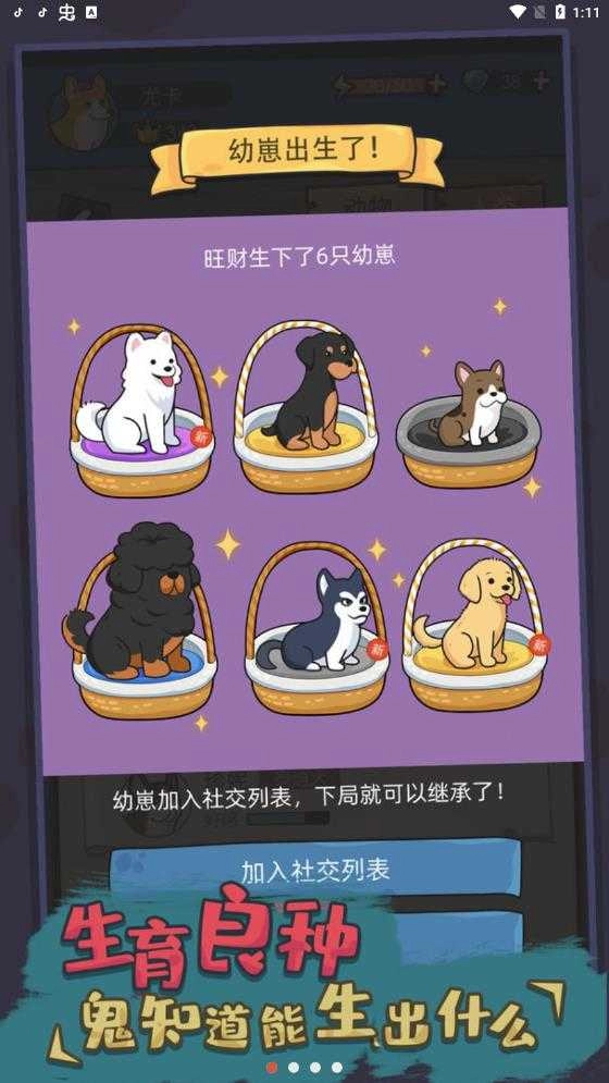 狗生模拟器修改器免费版图1